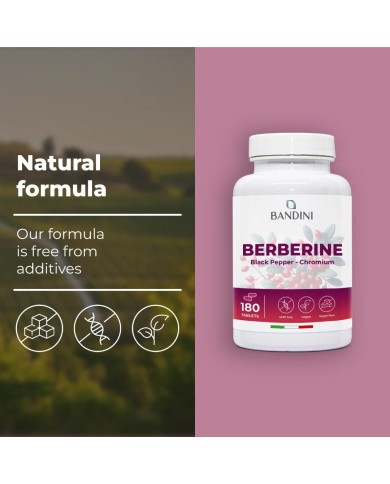 Berberine tablets improves digestion and metabolism