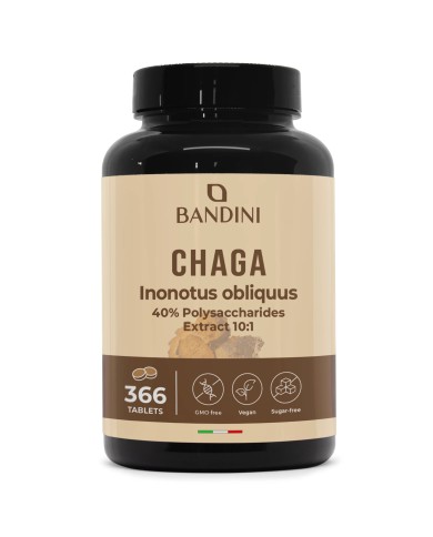 Chaga Mushroom Inonotus Obliquus 366 tablets- Mycotherapy