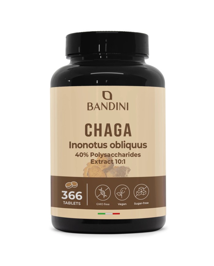 Chaga Mushroom Inonotus Obliquus 366 tablets- Mycotherapy