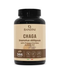 Chaga Mushroom Inonotus Obliquus 366 tablets- Mycotherapy