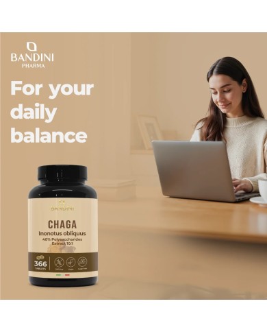 Chaga Mushroom Inonotus Obliquus 366 tablets- Mycotherapy