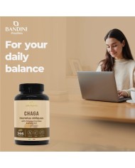 Chaga Mushroom Inonotus Obliquus 366 tablets- Mycotherapy