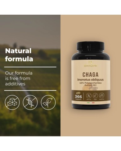 Chaga Mushroom Inonotus Obliquus 366 tablets- Mycotherapy