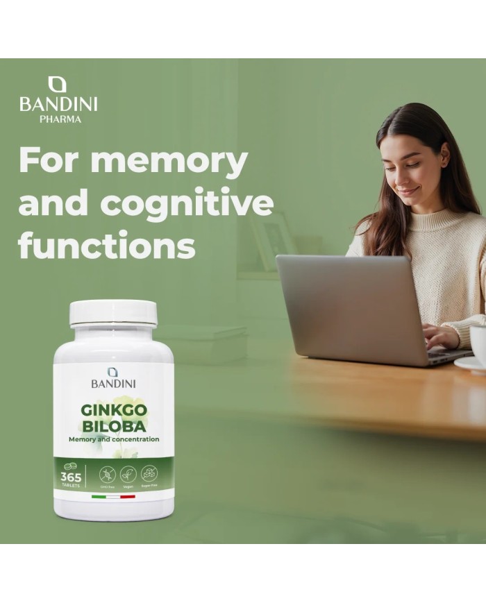 Ginkgo Biloba with Siberian ginseng - 365 tablets