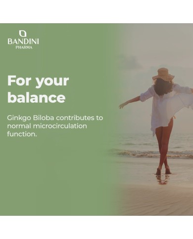 Ginkgo Biloba with Siberian ginseng - 365 tablets