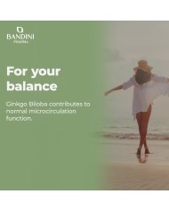 Ginkgo Biloba with Siberian ginseng - 365 tablets