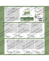 Ginkgo Biloba with Siberian ginseng - 365 tablets