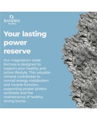 Magnesium citrate capsules for fatigue