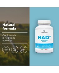 NAD+ Nicotinamide riboside chloride 300 mg - 90 capsules
