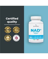 NAD+ Nicotinamide riboside chloride 300 mg - 90 capsules