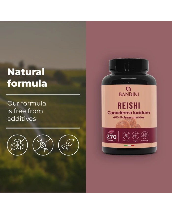 Reishi Ganoderma Lucidum Mushroom Tablets