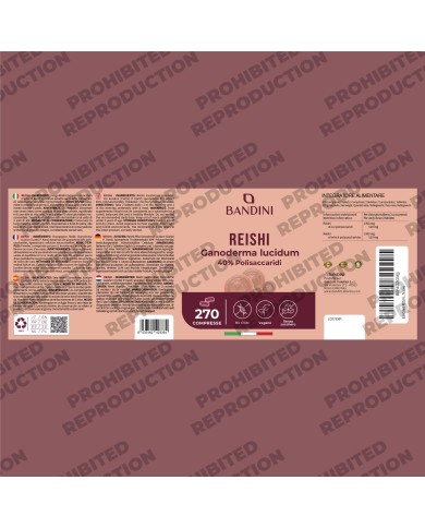 Reishi Ganoderma Lucidum Mushroom Tablets