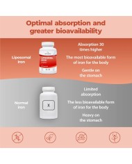 Bandini® - Liposomal Iron 60 Capsules with Vitamins