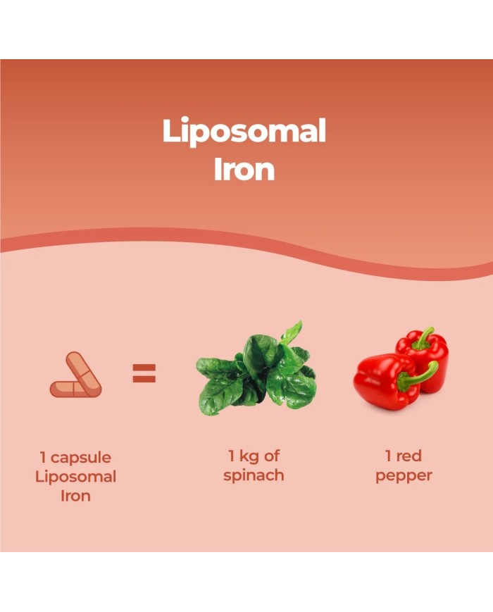 Bandini® - Liposomal Iron 60 Capsules with Vitamins