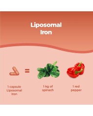 Bandini® - Liposomal Iron 60 Capsules with Vitamins