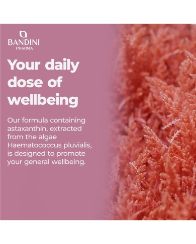 Astaxanthin 8mg 270 capsules | Antioxidant oleoresin