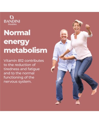 Vitamin B12 sublingual 120 tablets