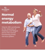 Vitamin B12 sublingual 120 tablets