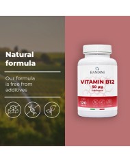 Vitamin B12 sublingual 120 tablets