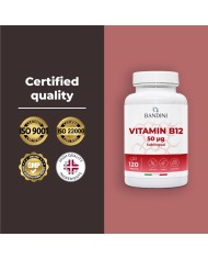 Vitamin B12 sublingual 120 tablets