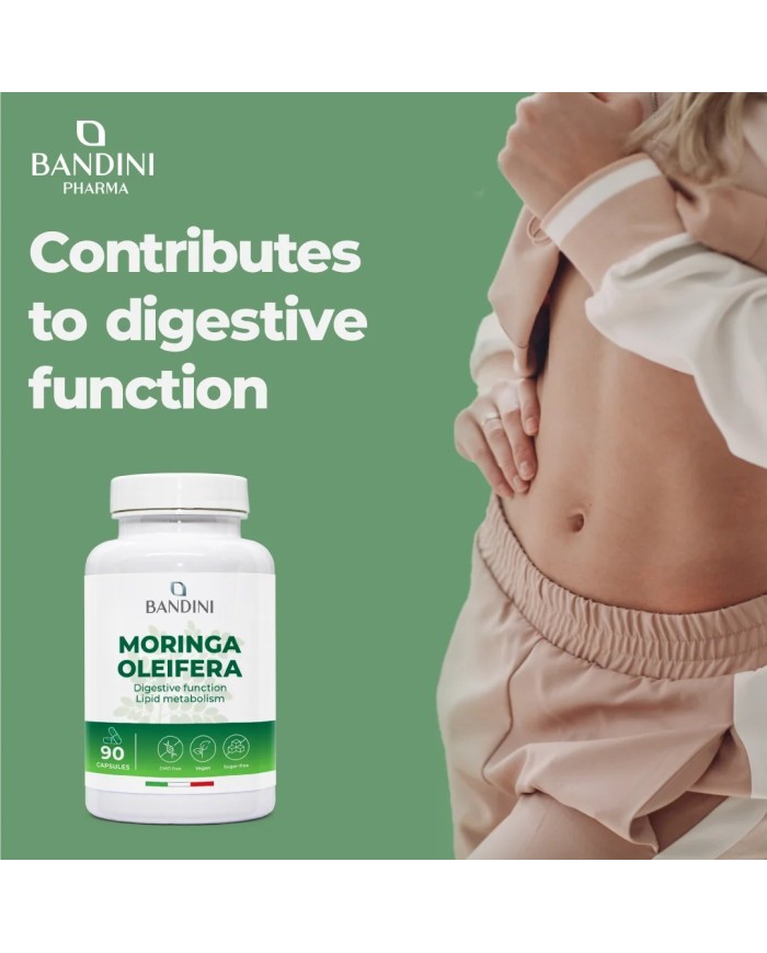 Moringa oleifera capsules for weight control