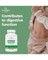 Moringa oleifera capsules for weight control