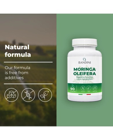 Moringa oleifera capsules for weight control