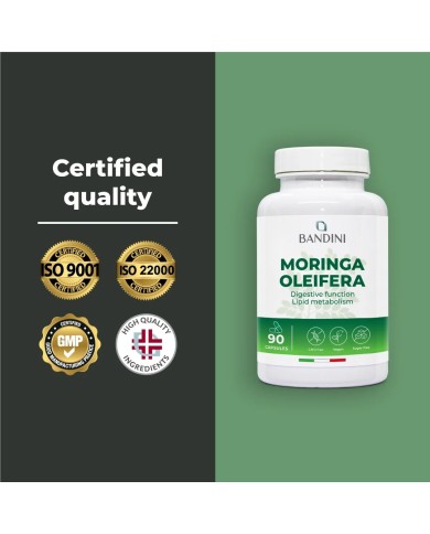 Moringa oleifera capsules for weight control