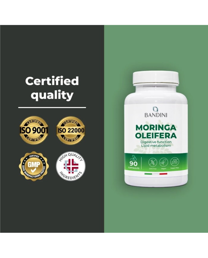Moringa oleifera capsules for weight control