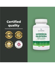 Moringa oleifera capsules for weight control