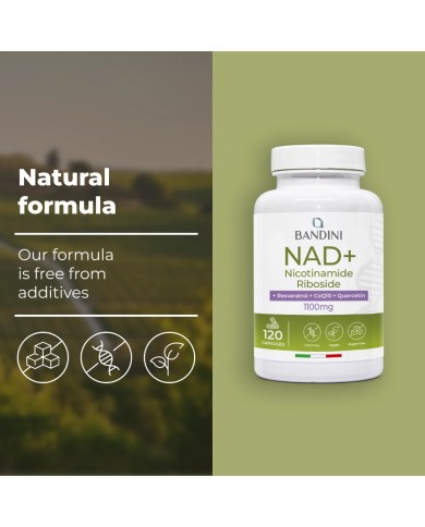 Liposomal NAD+ 120 capsules