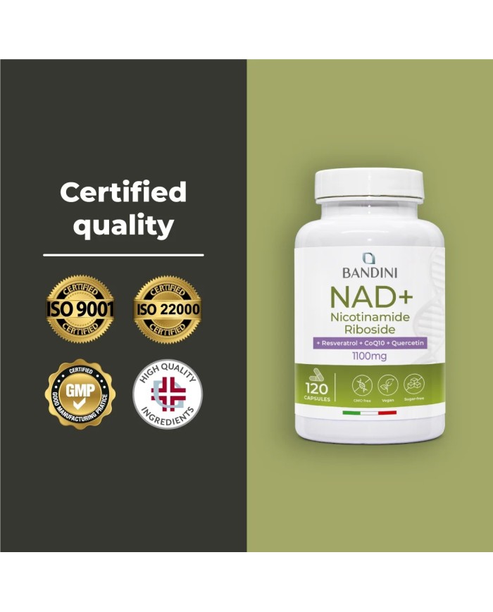 Liposomal NAD+ 120 capsules