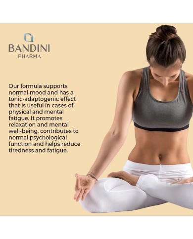 Ashwagandha Complex KSM-66 capsules with Rhodiola, Zinc, B6