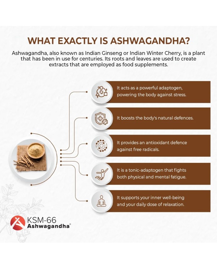 Ashwagandha Complex KSM-66 capsules with Rhodiola, Zinc, B6