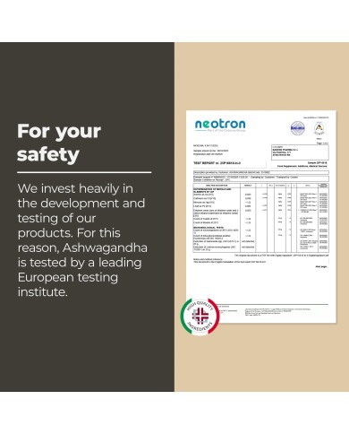 Ashwagandha Complex KSM-66 capsules with Rhodiola, Zinc, B6