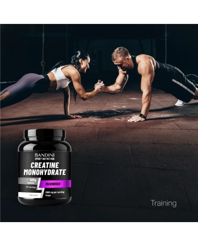 Creatine monohydrate powder 500g for intense training