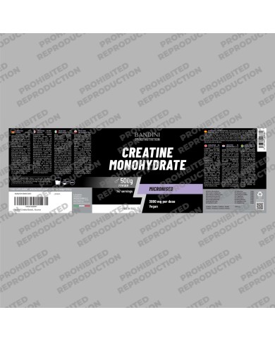 Creatine monohydrate powder 500g for intense training